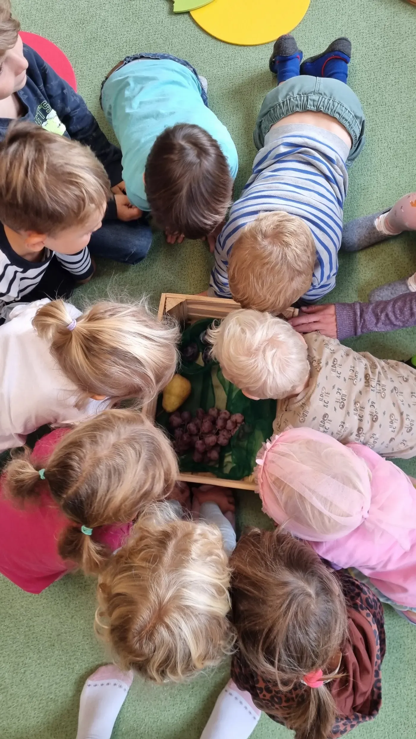 Kindergartenkinder betrachten gemeinsam Obst und Gemüse
